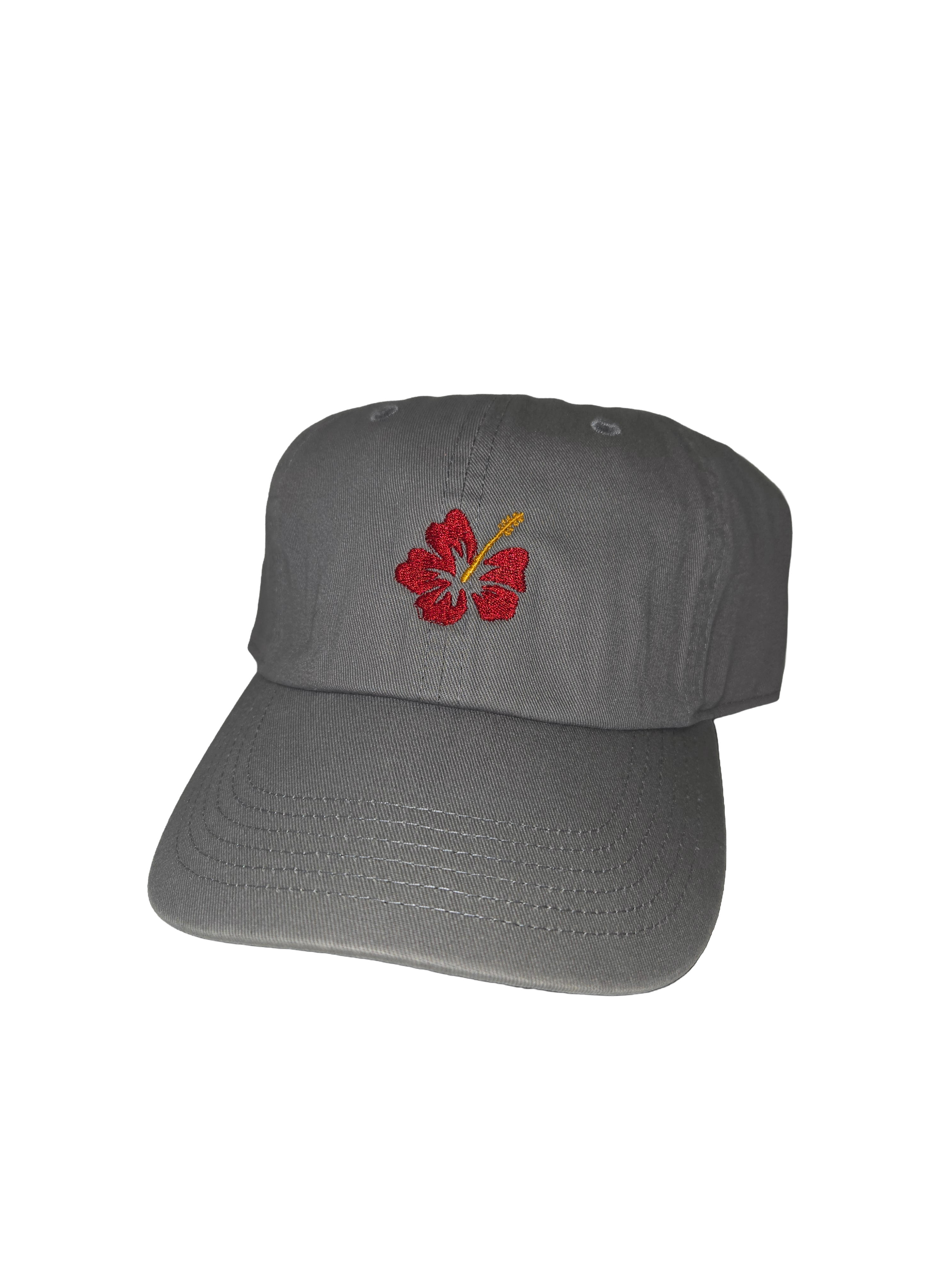 Hibiscus 🌺