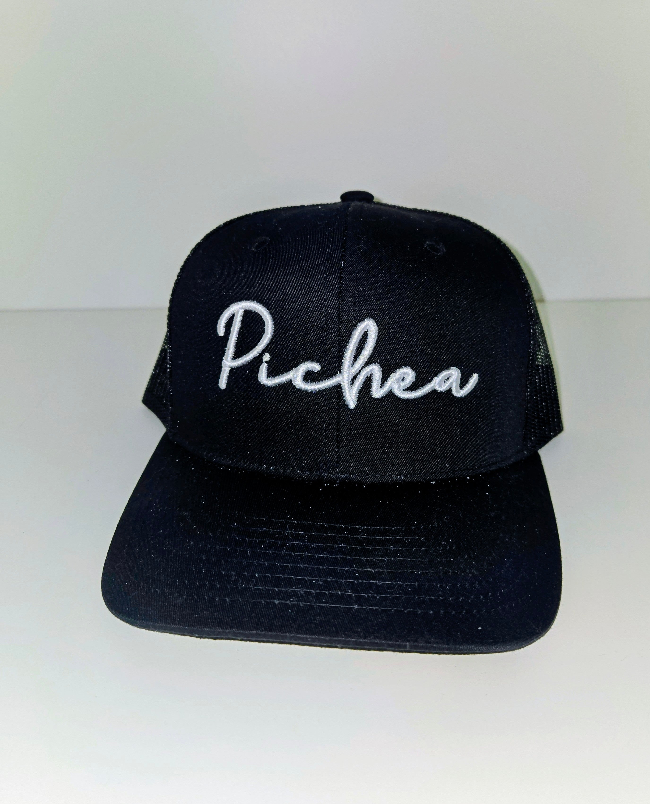 Trucker Pichea 3D